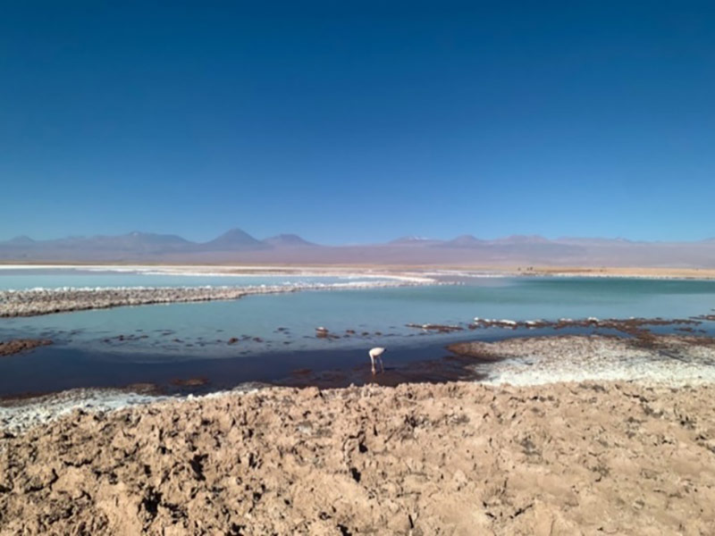 Photo of San Pedro de Atacama waterway