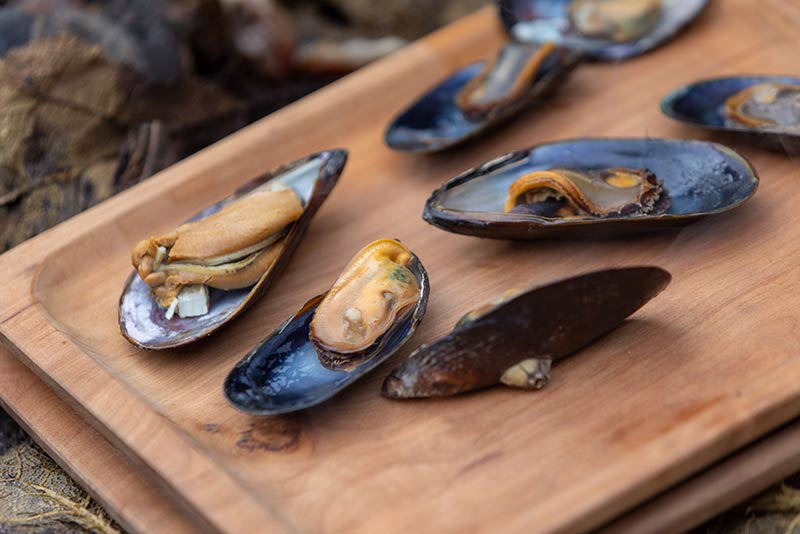 Photo of smoked mussels