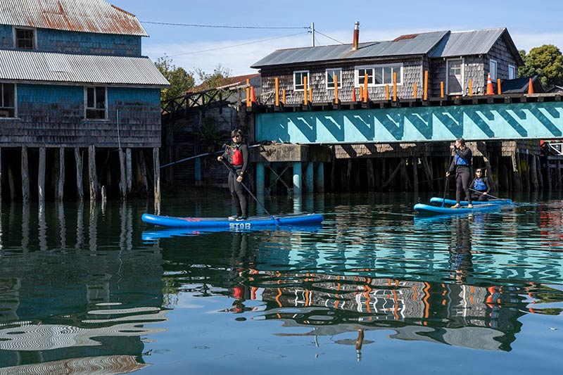 Photo of people paddle boarding